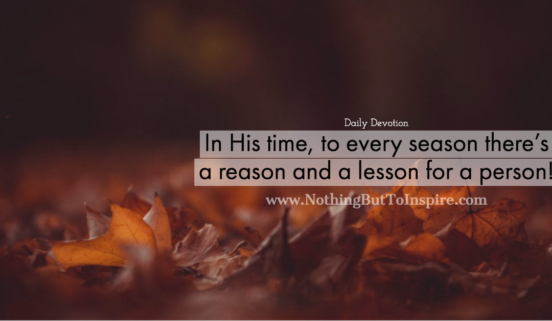 In His time, to every season there’s a reason and a lesson for a person!