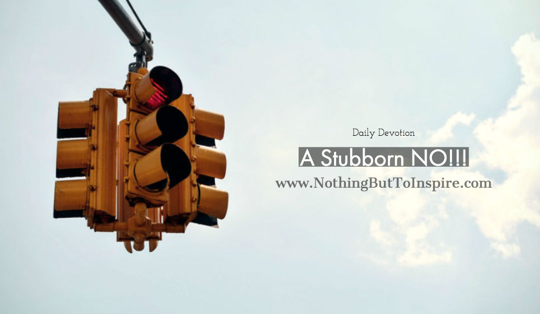 A Stubborn NO!