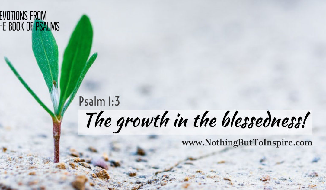 Psalm 1:3 | The growth in the Blessedness!