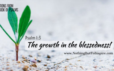 Psalm 1:3 | The growth in the Blessedness!