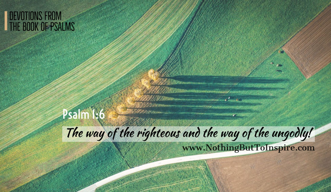 Psalm 1:6 | The way of the righteous and the way of the ungodly!