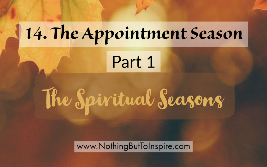 14. The Appointment Season- Part 1