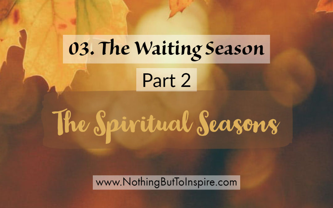 03. The Waiting Season- Part 2