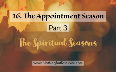 16. The Appointment Season- Part 3