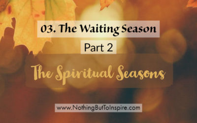 03. The Waiting Season- Part 2