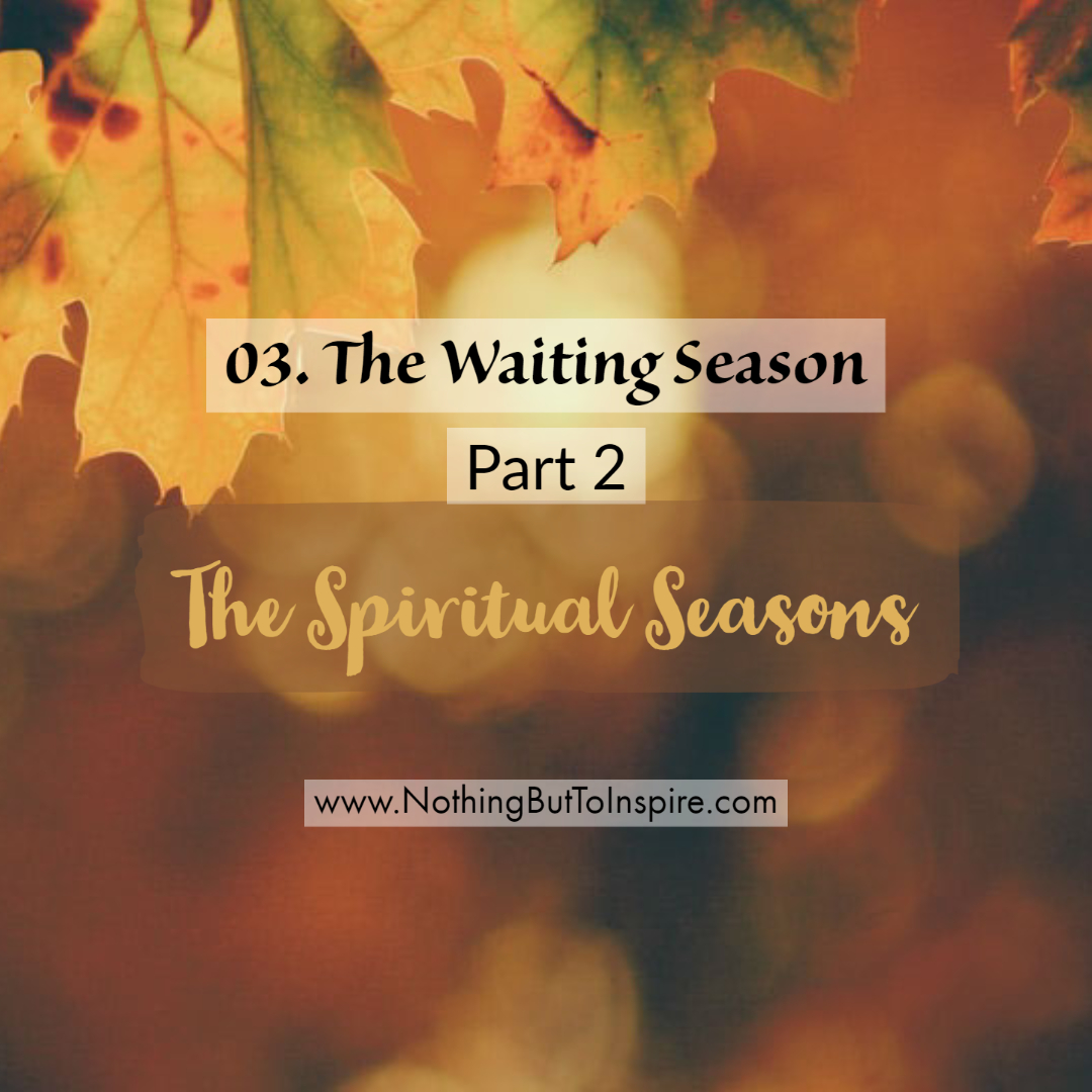 03. The Waiting Season- Part 2