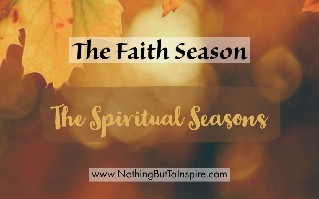 04. The Faith Season