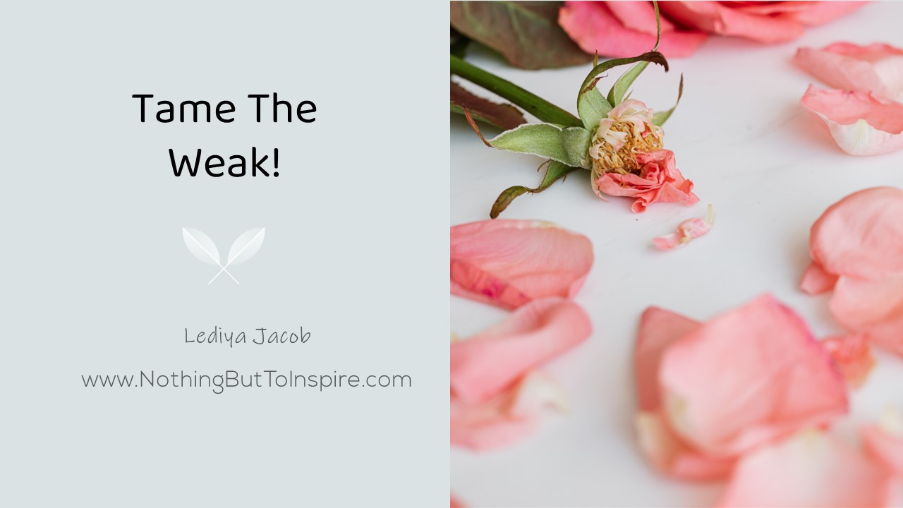 Tame The Weak!