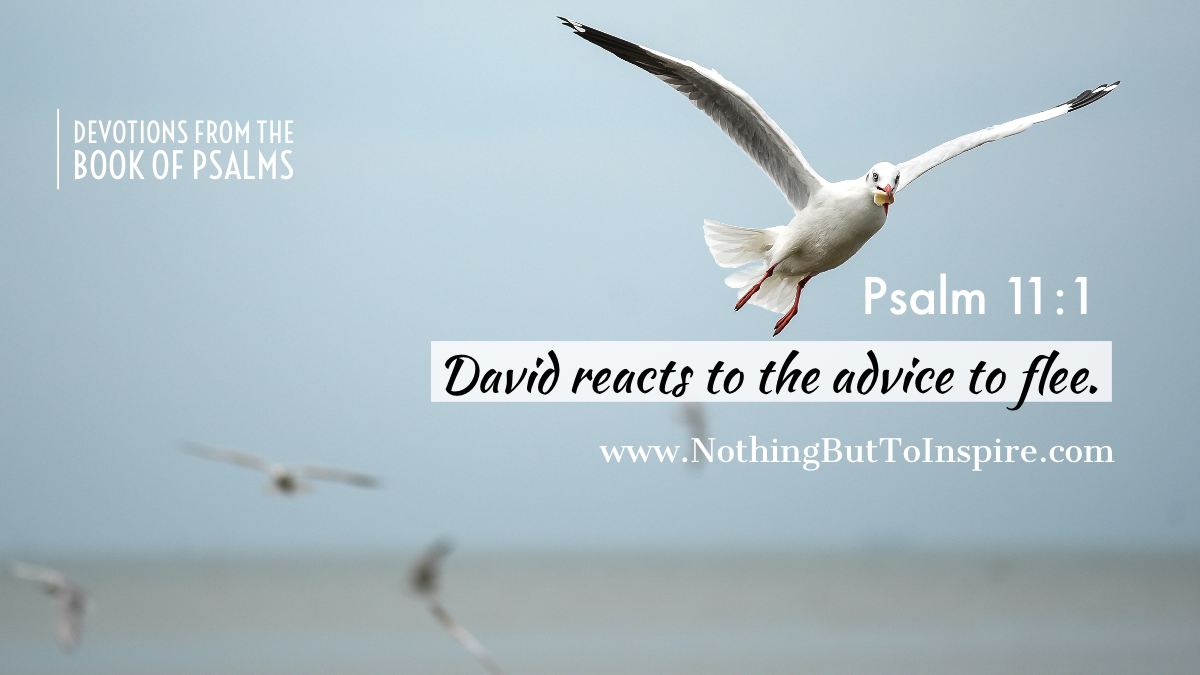 Psalm 11:1 | David reacts to the advice to flee.